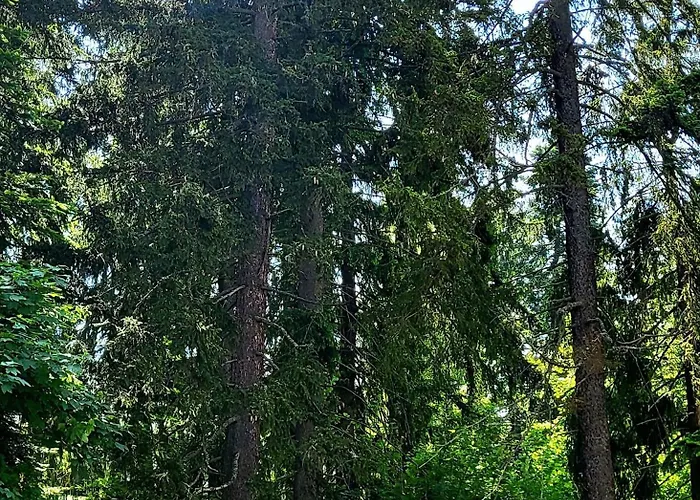 Private B27 In Gardens Apartman Borovec